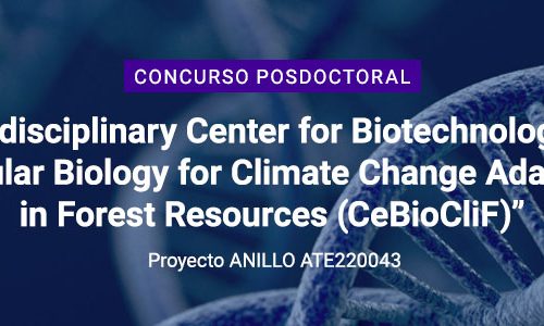 Postdoctoral position competition