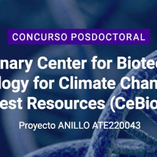 Concurso posición postdoctoral