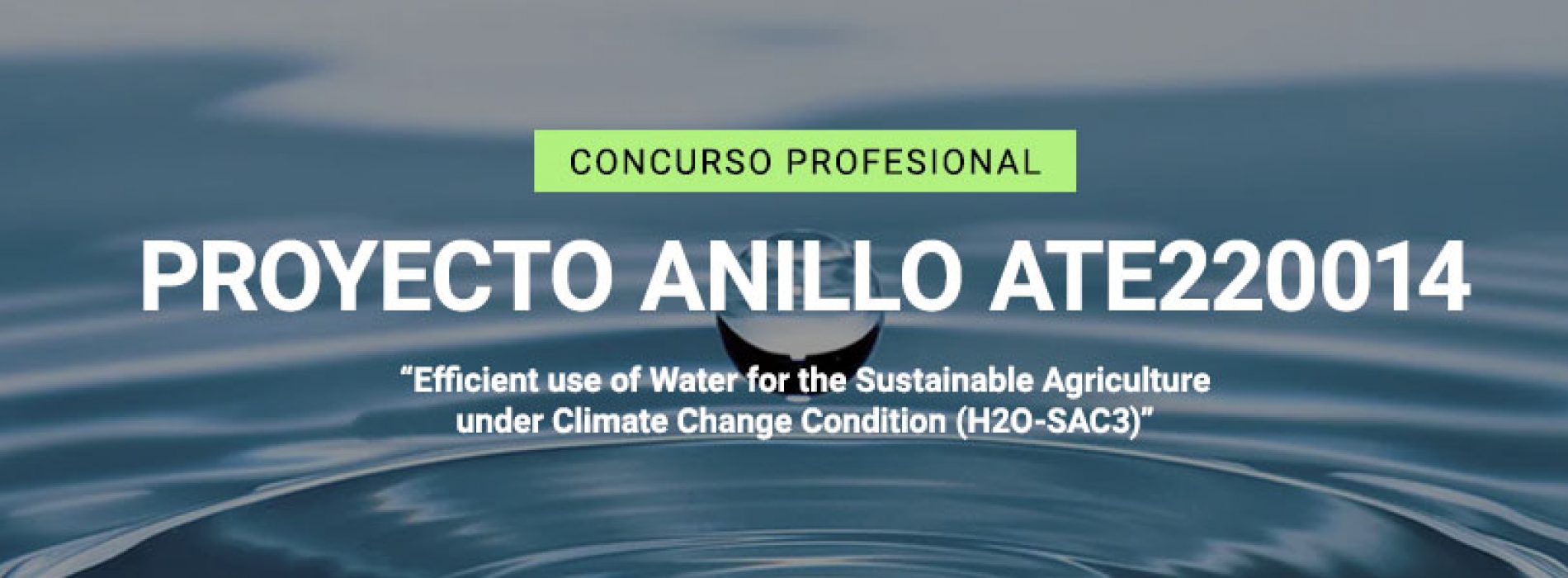 LLAMADO A CONCURSO PROFESIONALES PROYECTO ANILLO ATE220014