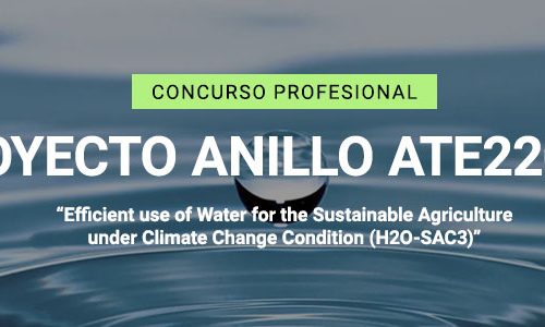 CALL FOR COMPETITION PROFESSIONALS RING PROJECT ATE220014