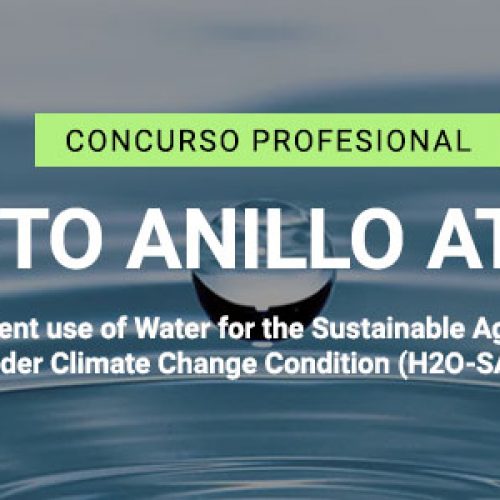 LLAMADO A CONCURSO PROFESIONALES PROYECTO ANILLO ATE220014