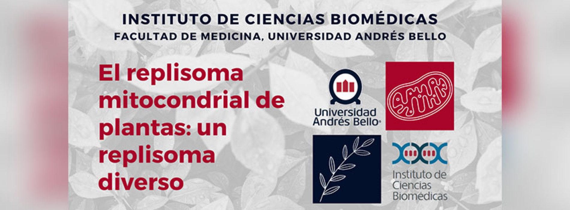 Charla El replisoma mitocondrial de plantas: un replisoma diverso