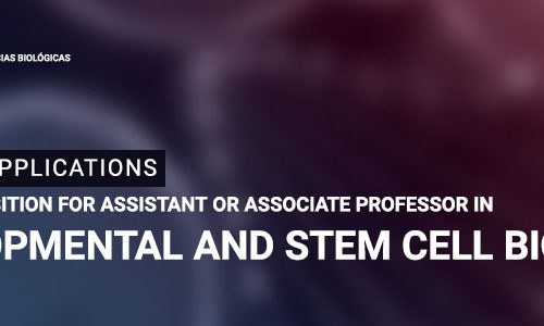 CALL FOR APPLICATIONS: ACADEMIC POSITION FOR ASSISTANT OR ASSOCIATE PROFESSOR IN DEVELOPMENTAL AND STEM CELL BIOLOGY