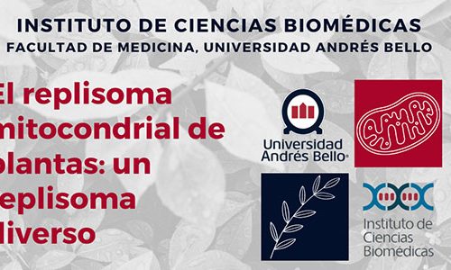 Charla El replisoma mitocondrial de plantas: un replisoma diverso