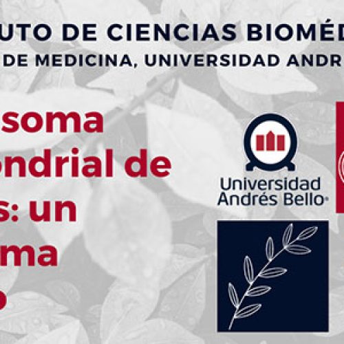 Charla El replisoma mitocondrial de plantas: un replisoma diverso