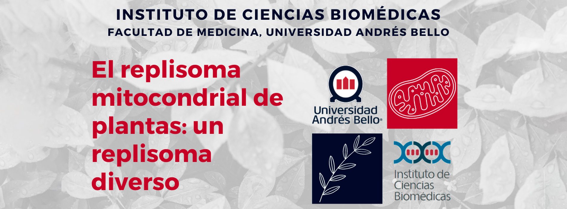 Charla: El replisoma mitocondrial de plantas, un replisoma diverso