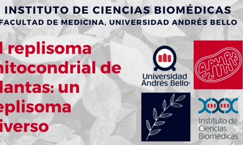 Charla: El replisoma mitocondrial de plantas, un replisoma diverso
