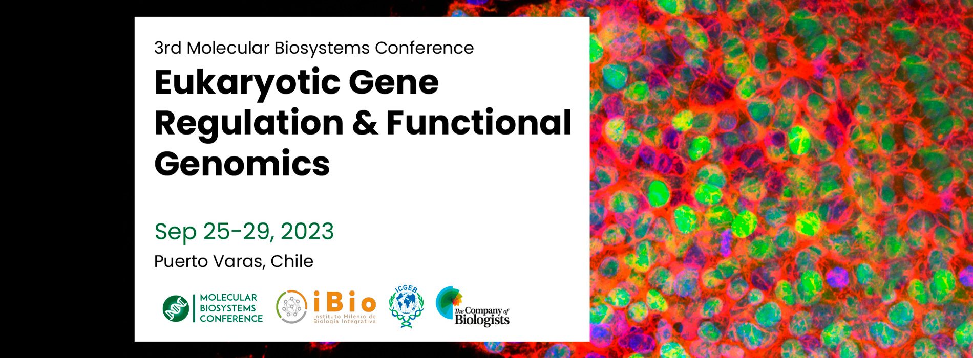 Congreso: 3 rd Molecular Biosystems Conference on Eukaryotic Gene Regulation & Functional Genomics