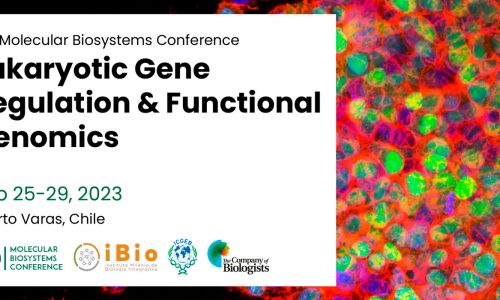 Congreso: 3 rd Molecular Biosystems Conference on Eukaryotic Gene Regulation & Functional Genomics