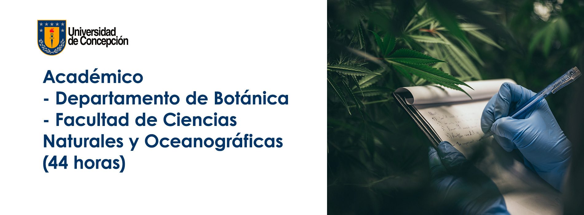 Académico – Departamento de Botánica – Facultad de Ciencias Naturales y Oceanográficas (44 horas)
