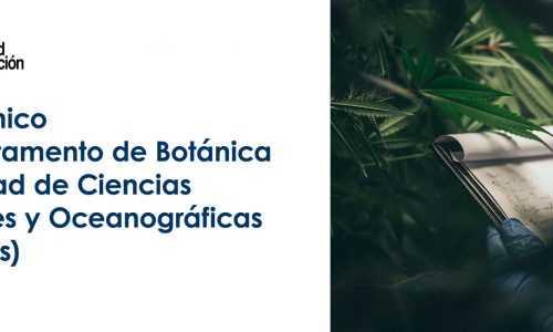 Academic – Department of Botany – Faculty of Natural and Oceanographic Sciences (44 hours)