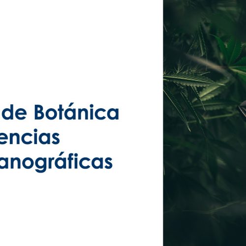 Académico – Departamento de Botánica – Facultad de Ciencias Naturales y Oceanográficas (44 horas)