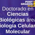 Doctorado en Ciencias Biológicas Área Biología Celular y Molecular