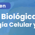 Postulaciones a Doctorado en Ciencias Biológicas UdeC